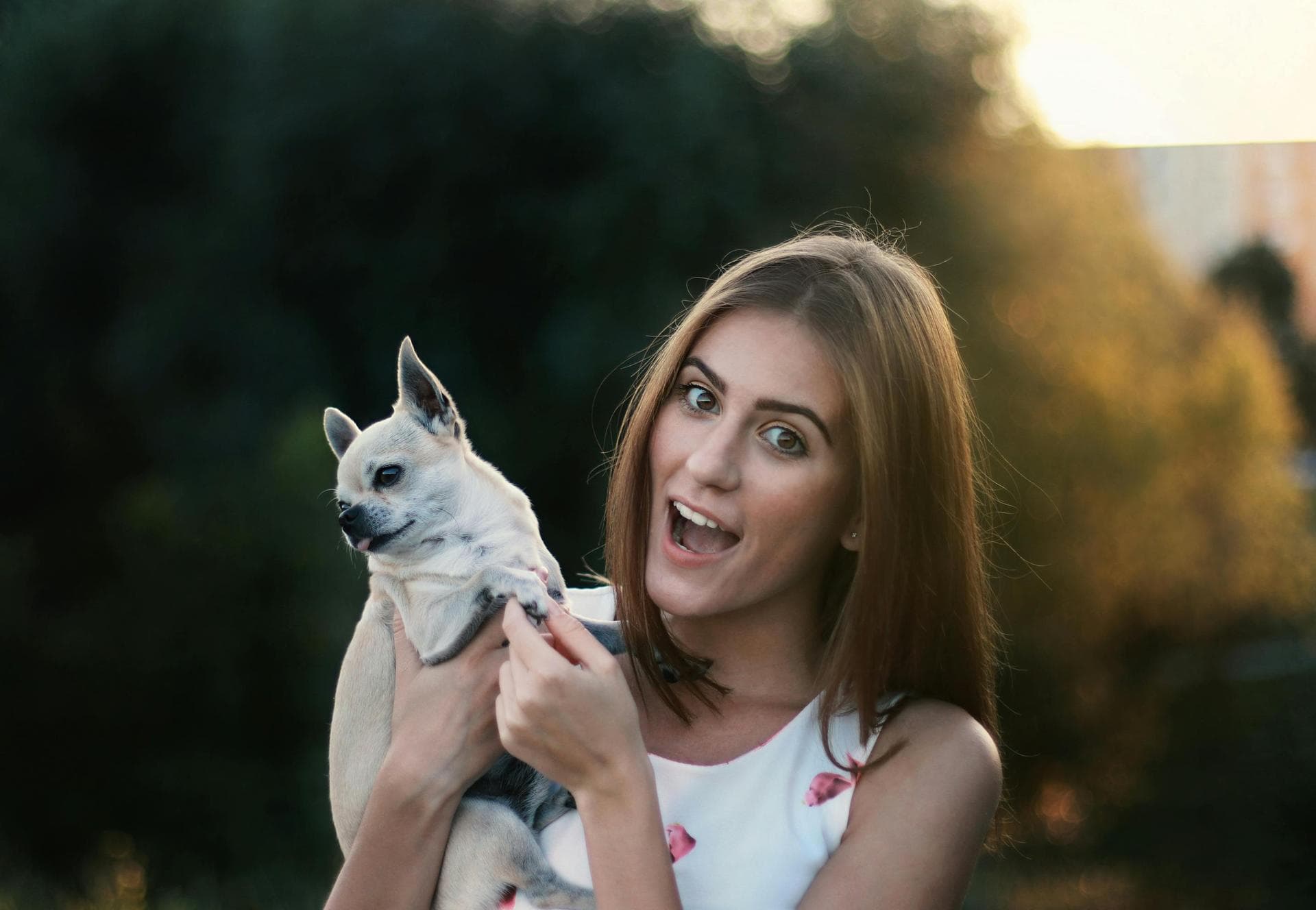 Rabies Vaccination Prices in Wakefield